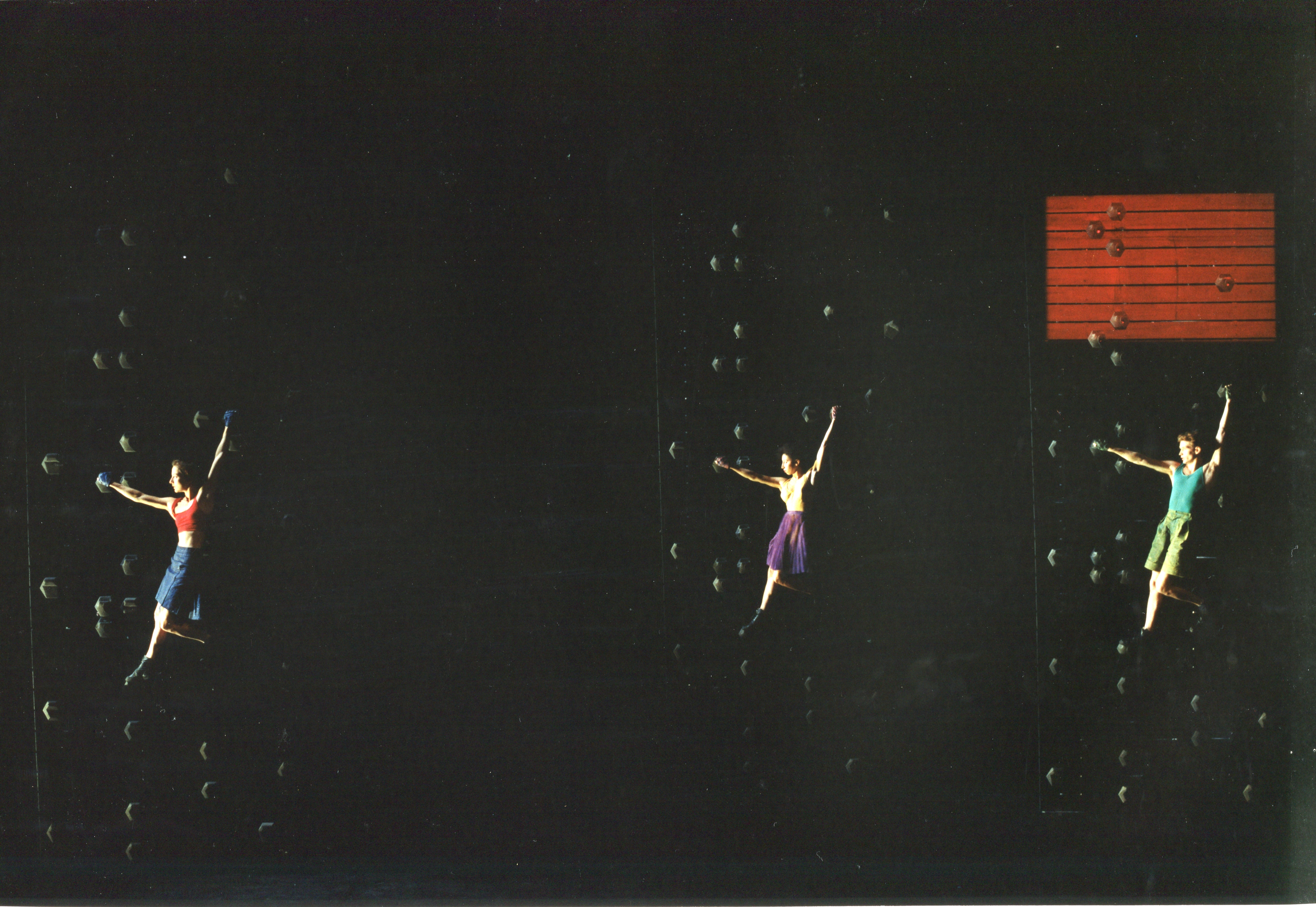 Grenadier Weaver, 1989 &copy; Nicolas Pfeiffer