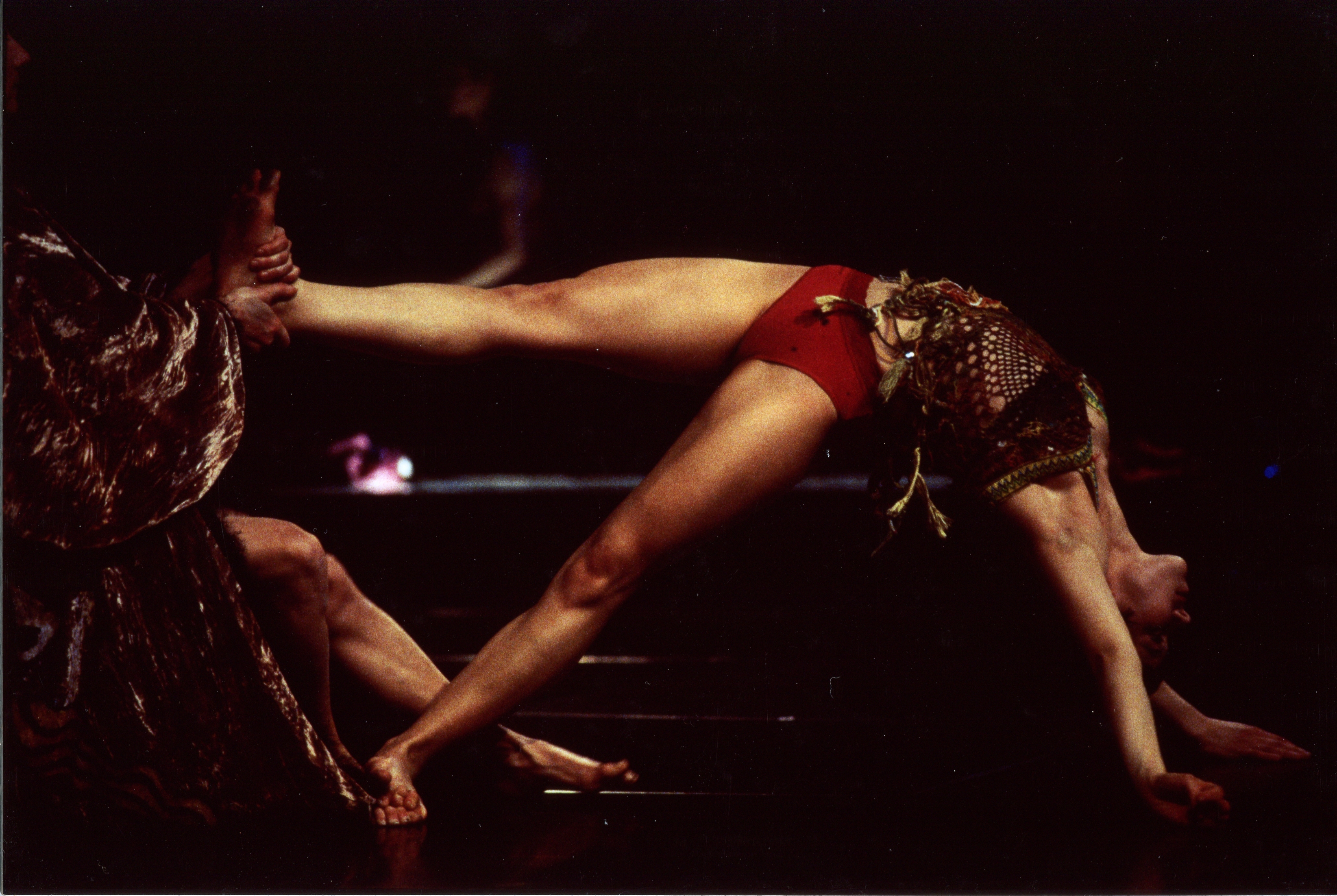 Peau de squale, 1993